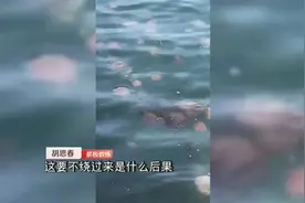 不要触碰！这些海里的“不速之客”有毒 严重可致命图片