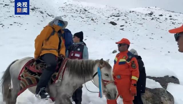 珠峰暴雪中，向导一人一狗带上百人撤离，有人转账5000元感谢