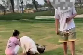 男子遛狗不栓绳致犬只追逐小孩，已被警方处罚视频封面