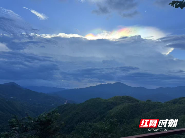 株洲避暑游“热力全开”，“清凉经济”点燃夏日