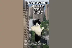 宜昌公安新媒体“00后整活”，负责人回应！称仍要回归主业图片