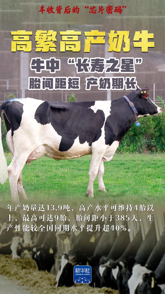 丰收背后的“芯片密码”