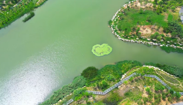 全部免费！郑州超适合晒太阳的公园