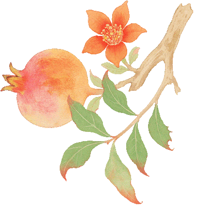 【跟着赛事游凉山】奔跑在画中 这张西昌“金标”名片藏着的湖光山色