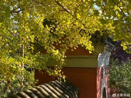 收藏秋日！秋天是写在古都的诗篇