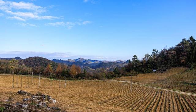 诗画冬日鹤峰：高原大地似锦绣