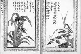 “君子儒”的性格特质与为学进路图片