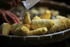 丽水味道：一片冬笋满口鲜图片