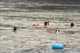 男孩溺水 三个人一只狗奋力向他游去图片