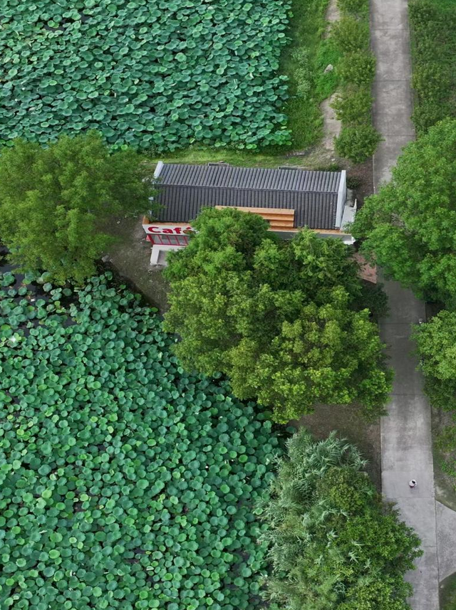 在上海！这是咖啡馆？一眼九寨沟！
