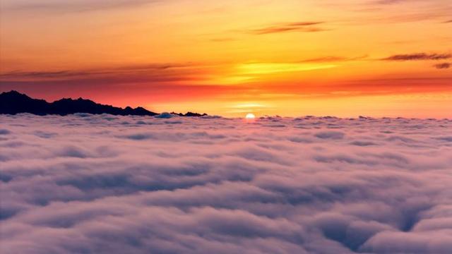 追光行动丨文旅年卡免费送！速速来集合