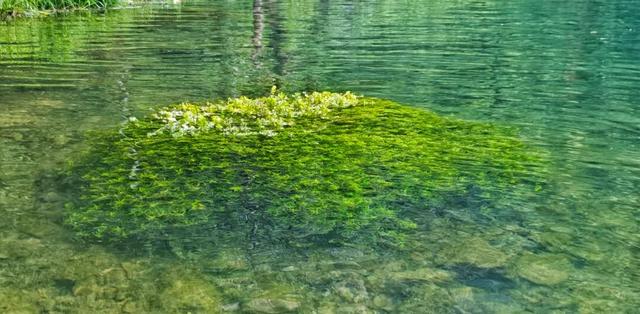 百色田东，“中国芒果之乡”不止芒果！