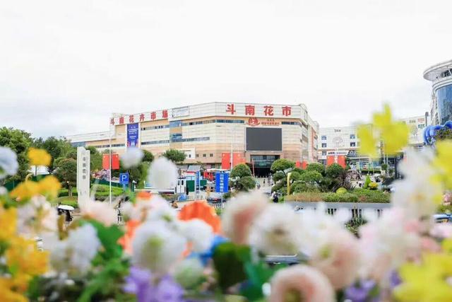 斗南花市在列！昆明拟新增2个国家4A级景区