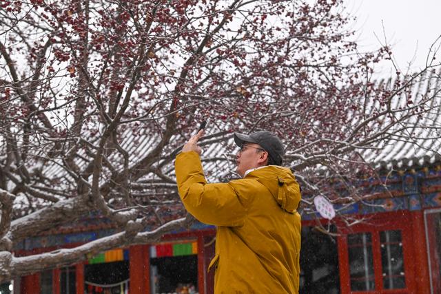 雪趣，浓烈的中式诗意