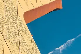 顾建英教授团队在黑色素瘤转移机制研究方面获新突破！绘制全球首张肢端型黑色素瘤淋巴结转移时空进化图谱图片