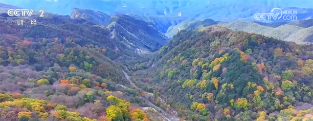 秋日“限定版”美景催热赏秋游 消费市场释放高质量发展新潜力