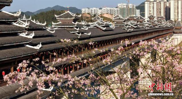 广西三江侗乡：花映廊桥美如画