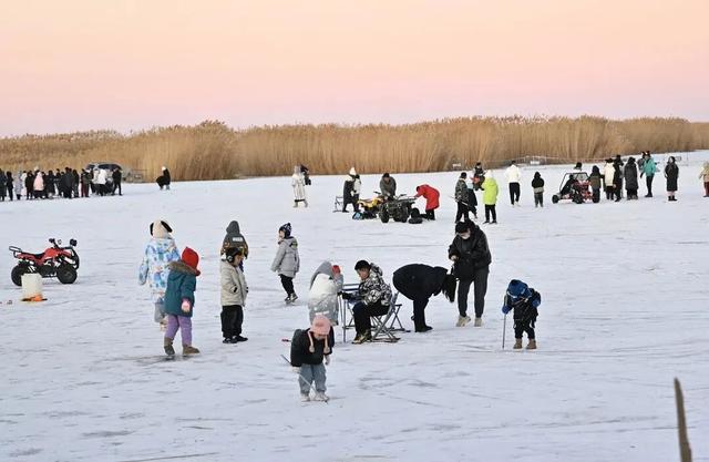 这个冬天，猫在巴彦淖尔才是幸福事