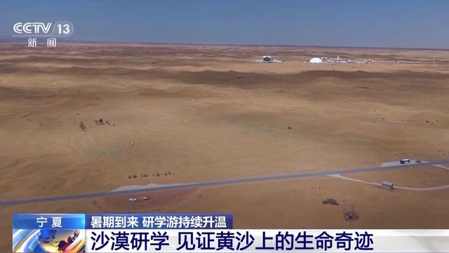 研学游持续升温 走进“绿色课堂”来一场沉浸式自然探索吧