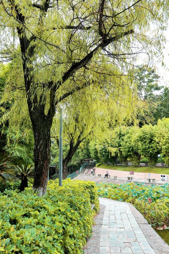 谁说秋天是黄色的？攀枝花的秋天，偏偏与众不同……