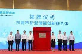 全市首家！东莞市新型储能创新联合体落户东坑图片
