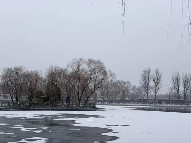 京城今冬首场雪，美景藏进相册里