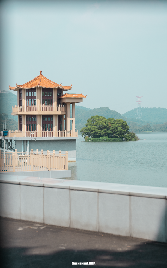 “看牛看海看夜景，深圳骑行路线精选”