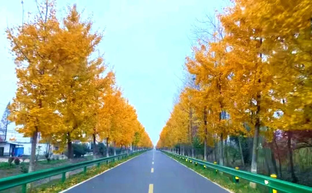 公安，等你入画