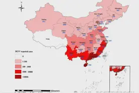 【垂医科普】夏天来了，登革热又“热”起来了图片