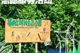 为爱奔赴山海间，一大批志愿者专业课“上新”啦！图片