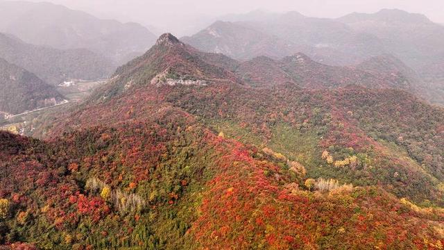 南漳：秋染五朵山