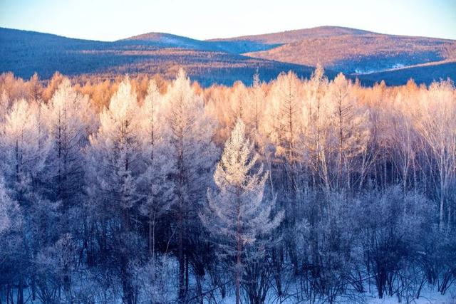 冰雪呼中，是我带不走的眷恋
