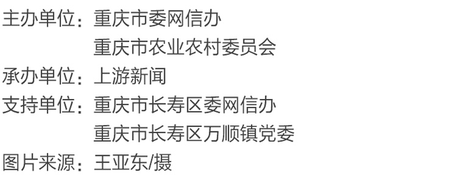 渝见好“村”光 | 水天一色：长寿区万顺镇石龙村