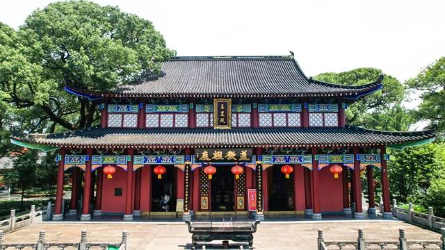 登高望远在龙虎，重阳遇见好秋光！