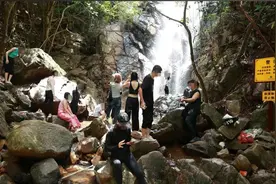 大岭山森林公园再发通告！这种游玩方式明确禁止！图片