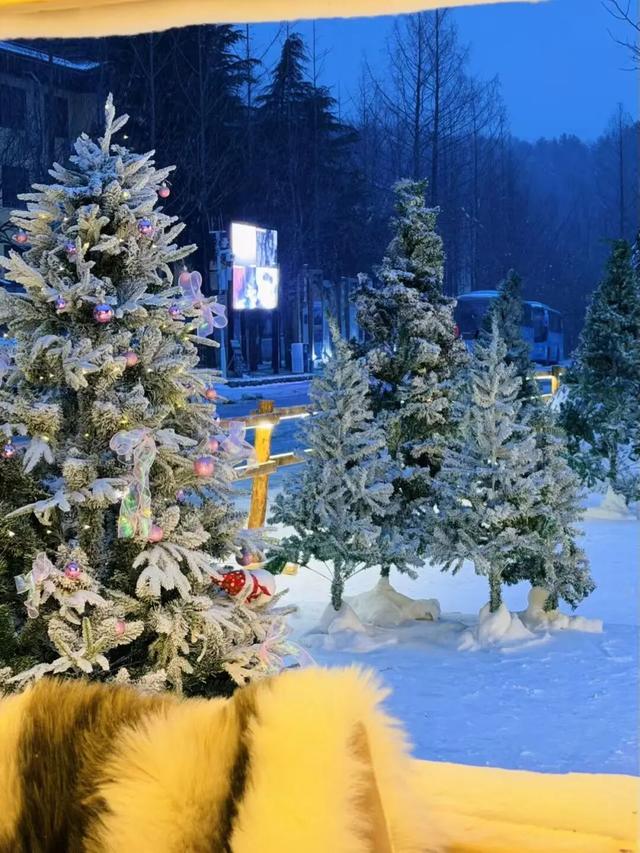 这个冬天，别再“猫冬”啦！300米超长滑道，来这开启嬉冰赏景的雪上之旅