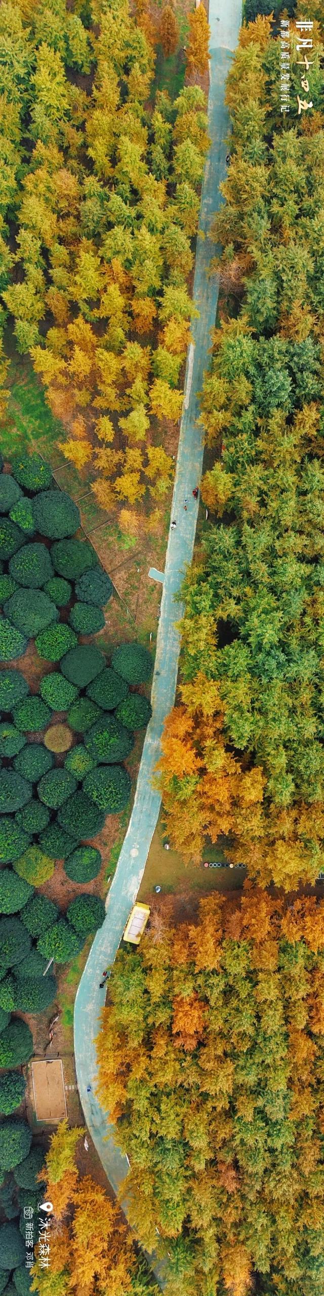 飞“阅”新都 | 一座生长在公园里的城市