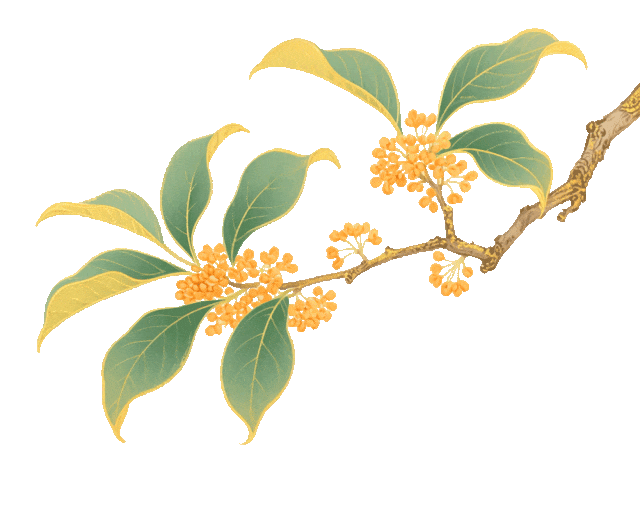 “茉莉花开” 绽放双节，江宁展开系列行动