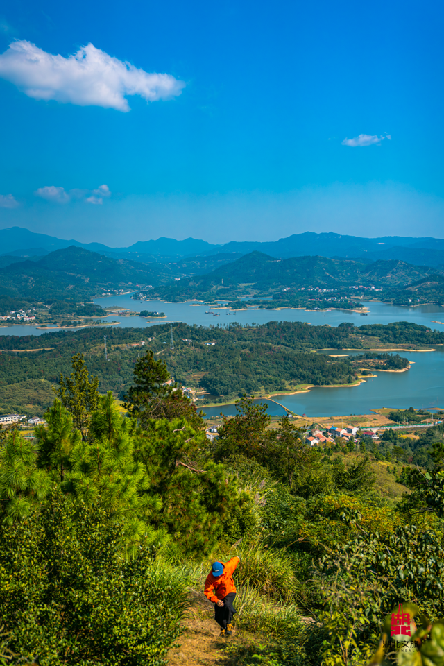 想追风，去团风！