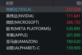美股跳水，特斯拉直线飙升！特朗普反复无常：“汽车关税或将豁免”图片