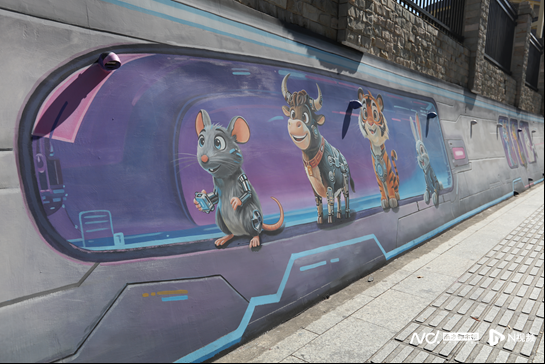 转角遇花海，深圳一地被“挤爆”！网友：怎么拍？求赐教