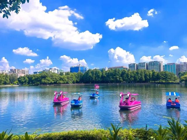流花湖上线新玩法！缤纷游船带你解锁秋日浪漫