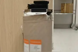香港儿童医院迎来首例广东脐带血，姐弟传递生命希望图片