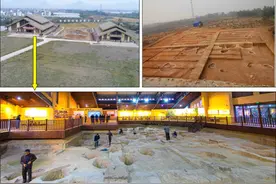 中国是世界水稻起源地！这项研究揭开了水稻10万年的演化史图片