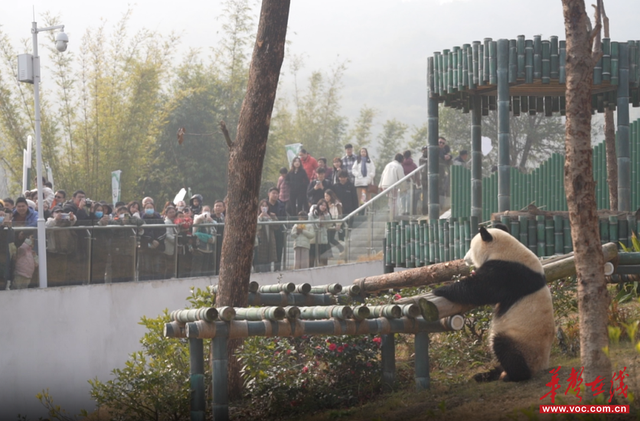 拿捏跨年“仪式感”，湖南元旦文旅活动攻略来了