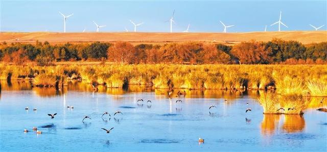 【大美中国】湿地秋色