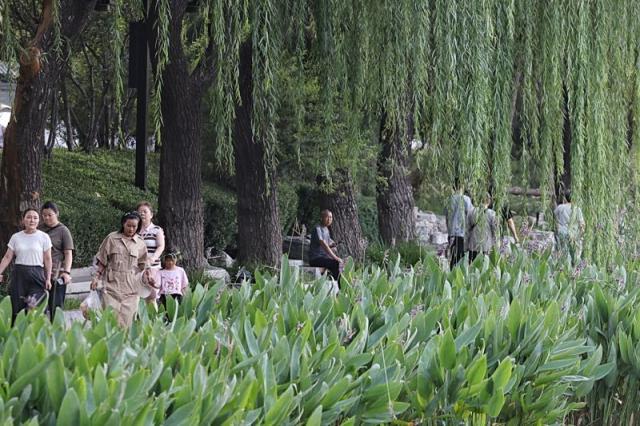 秋高气爽！来什刹海西海湿地公园，邂逅悠闲慢生活