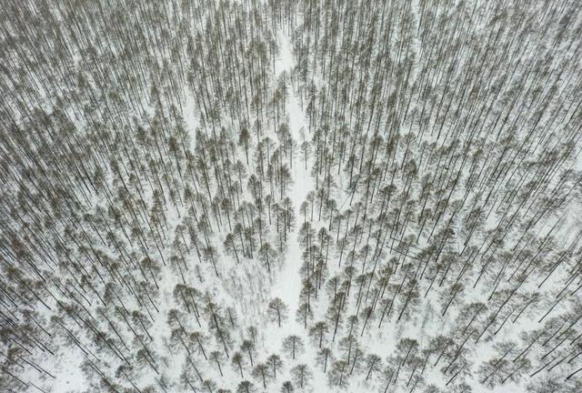 心动吗？这些冬日美景错过了就要再等一年！