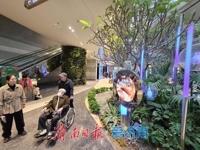一年四季 泉在济南丨游鹊华中新园 市民打卡热度不减