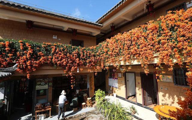 彝乡展新韵   人在画中游